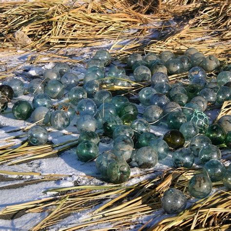 The Glass Floats .